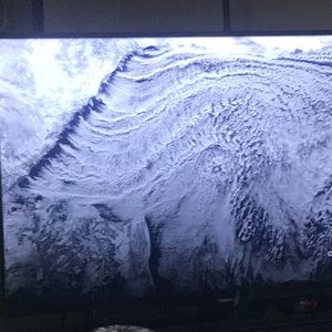 Meet your Posher, George